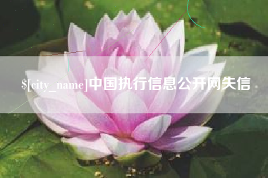 安陆中国执行信息公开网失信