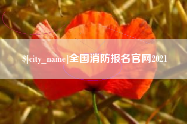 安陆全国消防报名官网2021