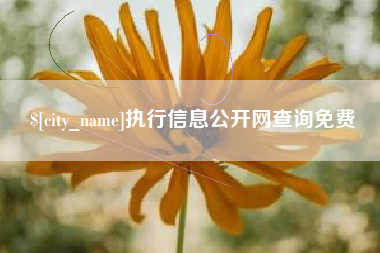 安陆执行信息公开网查询免费