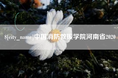 安陆中国消防救援学院河南省2020